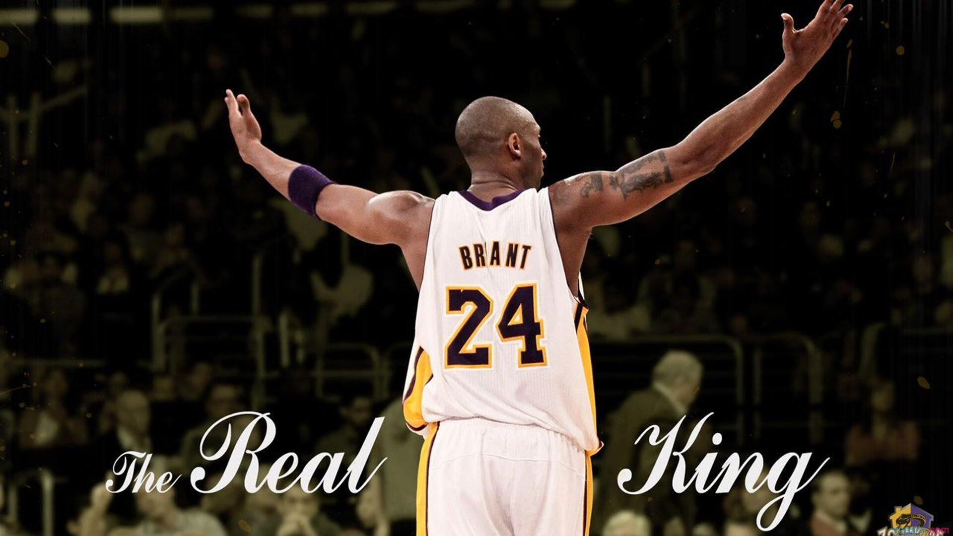 西决生死战启示录,中国冲垮埃及背后的文明韧性对决